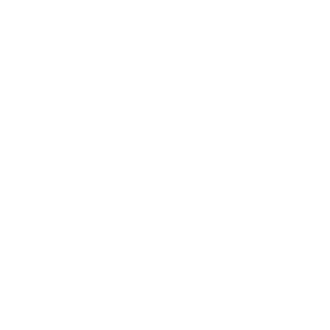 Wattwechsel Iconset Support Weiss
